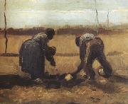 Vincent Van Gogh Peasant and Peasant Woman Planting Potatoes (nn04) oil painting